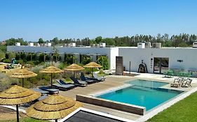 Quinta Da Amendoeira - Evora - The Farmhouse